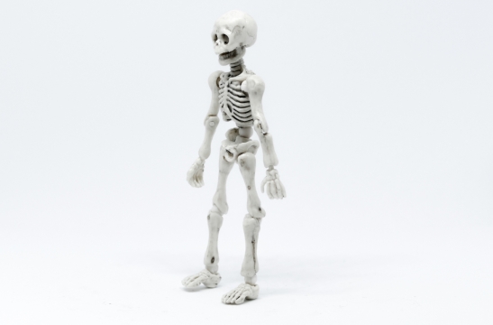 灰色背景白色人类骷髅玩具模型