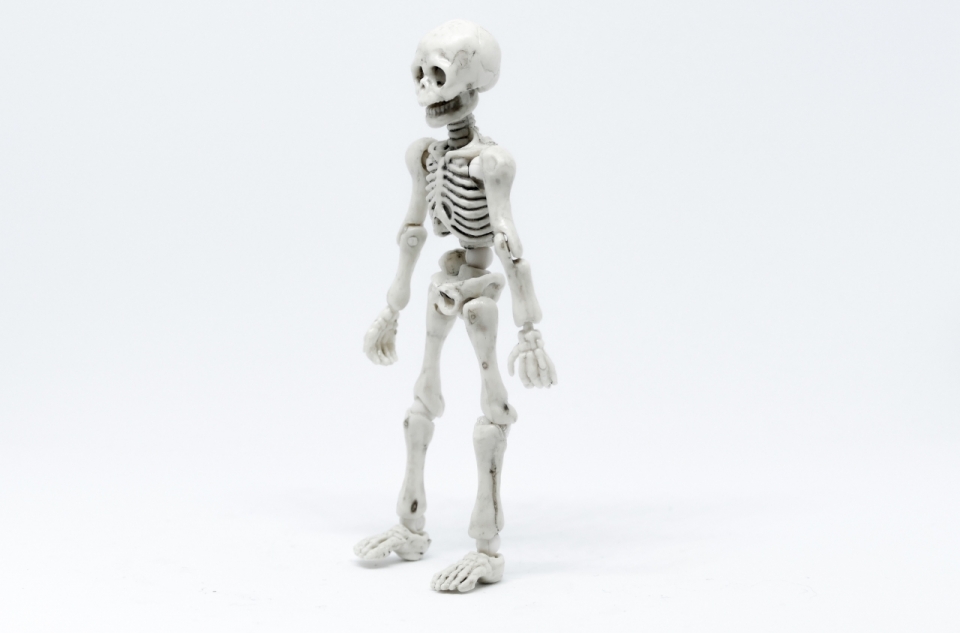 灰色背景白色人类骷髅玩具模型
