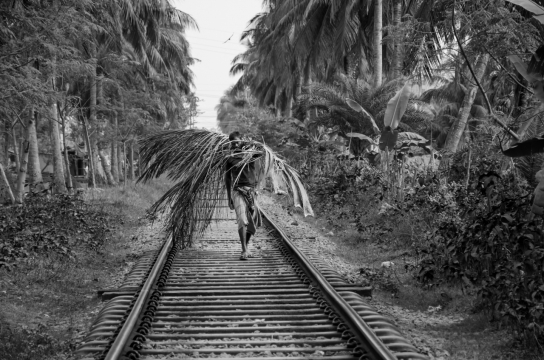 黑白户外自然植物间铁轨男性