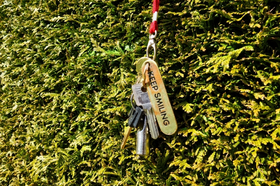 户外阳光自然绿色草坪金属钥匙串