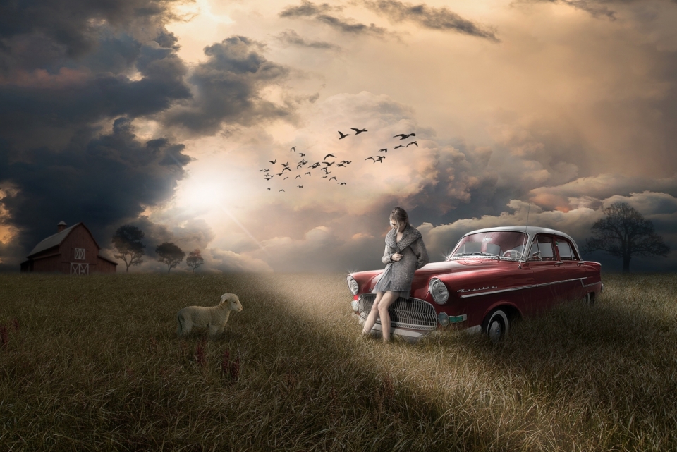 草地倚靠在车旁的女人与羊
