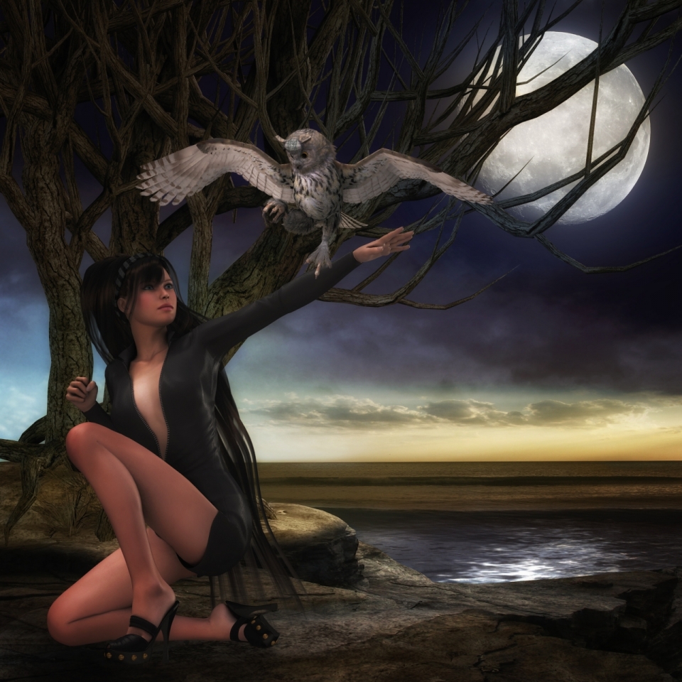 夜晚月光海岸边猫头鹰站在单膝跪地黑衣女子胳膊上原画设计