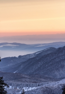 清晨云雾缭绕深山树林雪景自然风光