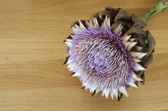 木质桌子上紫色花朵异国植物