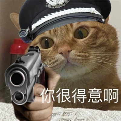 小猫咪警察搞笑表情包图片