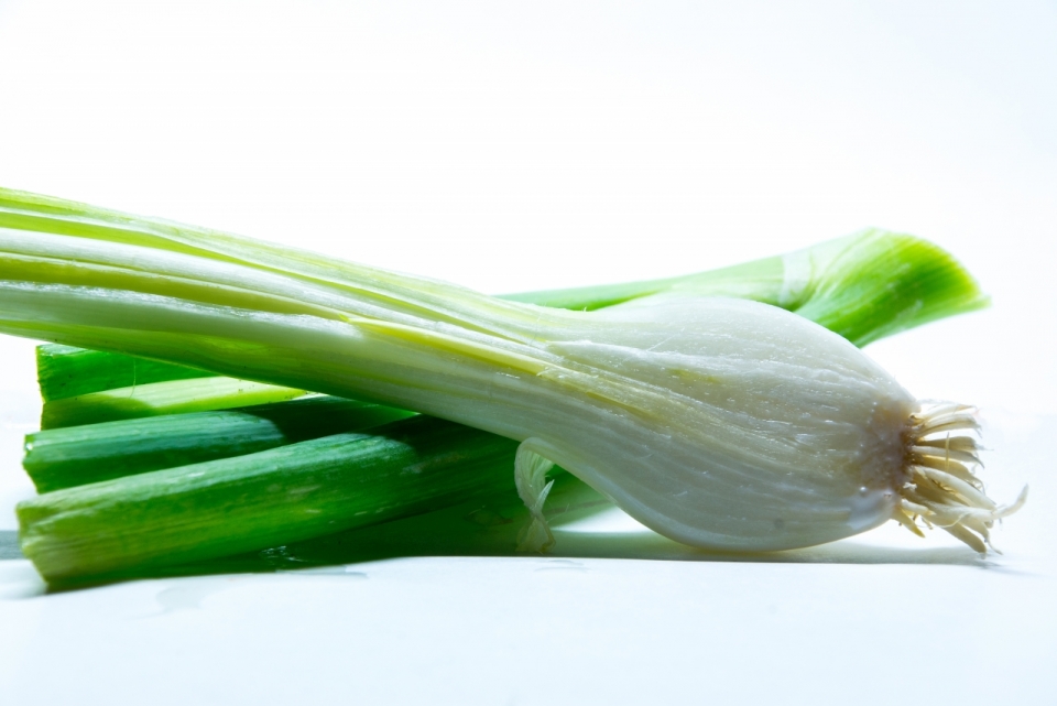 白色背景新鲜美味健康绿色葱蔬菜