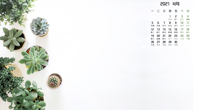 2021年4月多肉植物高清桌面日历壁纸