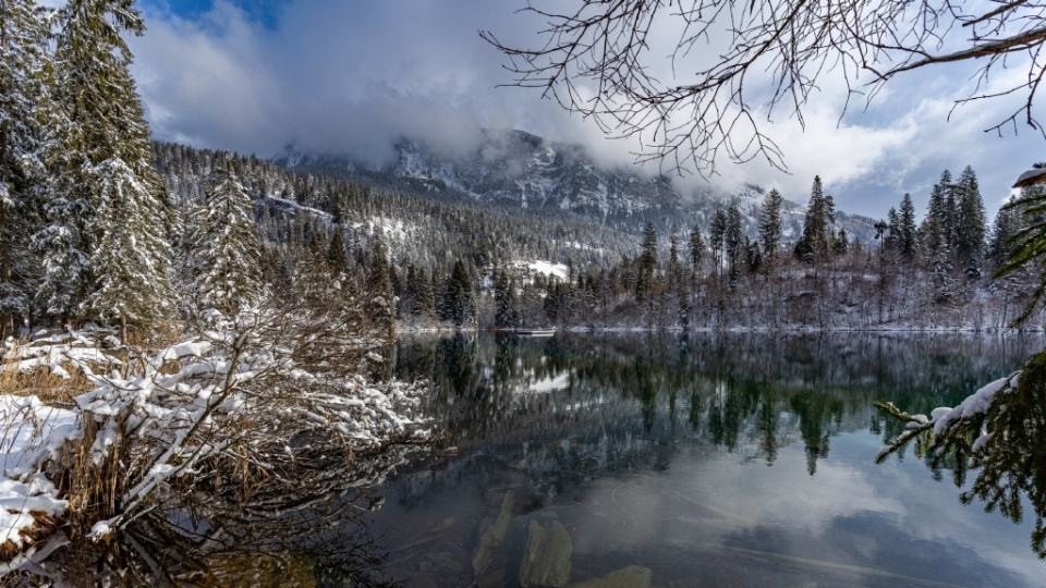 唯美冬天雪景高清桌面壁纸