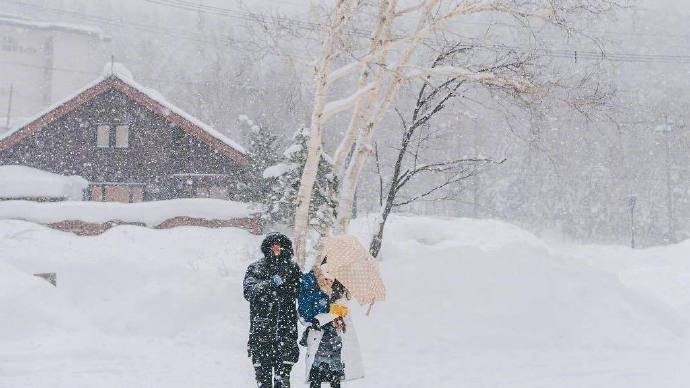 北海道的雪自然风景图片