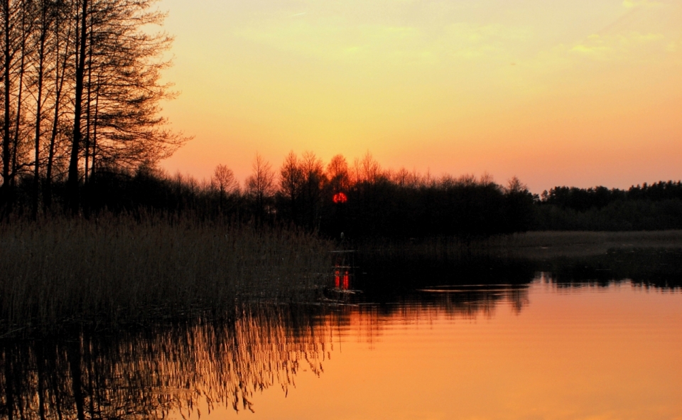 傍晚落日暗淡光芒湖边树丛自然风景