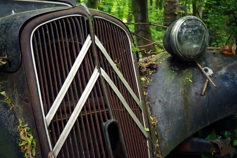 自然森林废弃轿车车头特写
