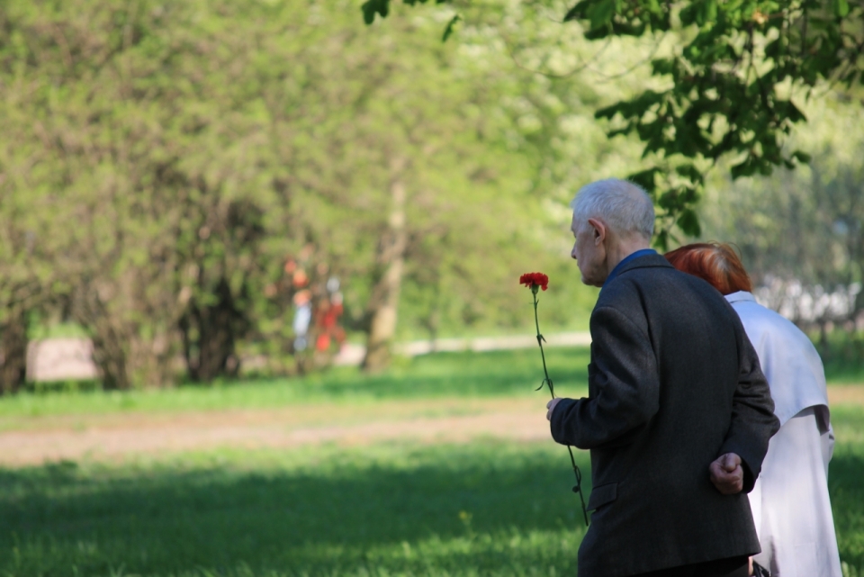 阳光城市自然公园拿花朵植物老年男性