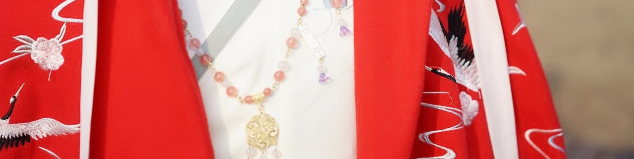 古风仙鹤领口外衫