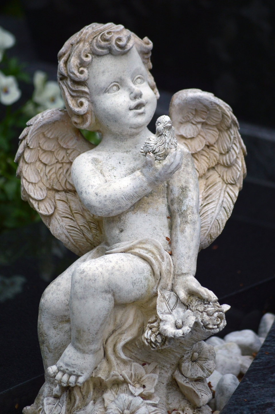 自然植物前白色破旧天使雕像