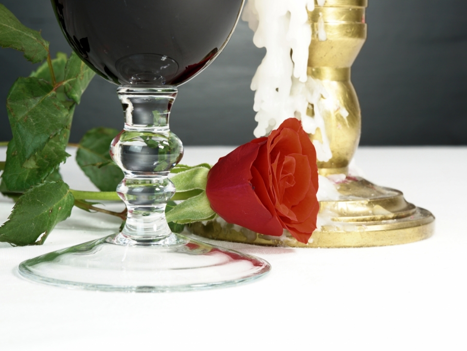 盛开红玫瑰鲜花和高脚杯玻璃杯