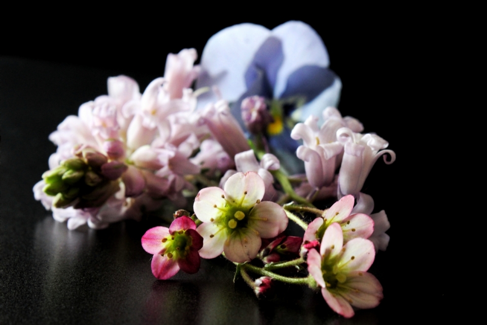 室内阳光黑色桌面清新自然粉色花朵