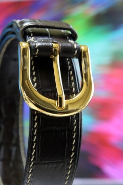 微距摄影_金色的皮带扣特写