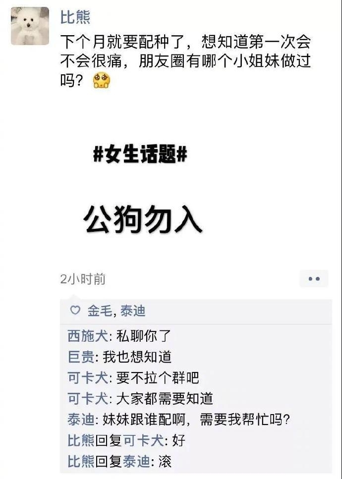 狗狗的朋友圈图片