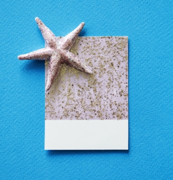 蓝色桌面摆放海星标本装饰