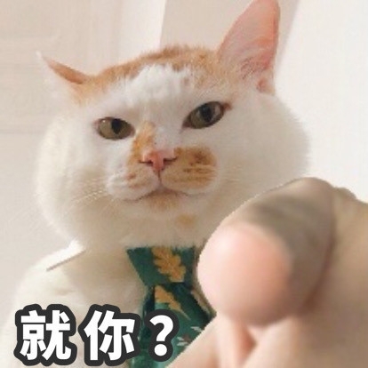 猫猫搞笑表情包图片