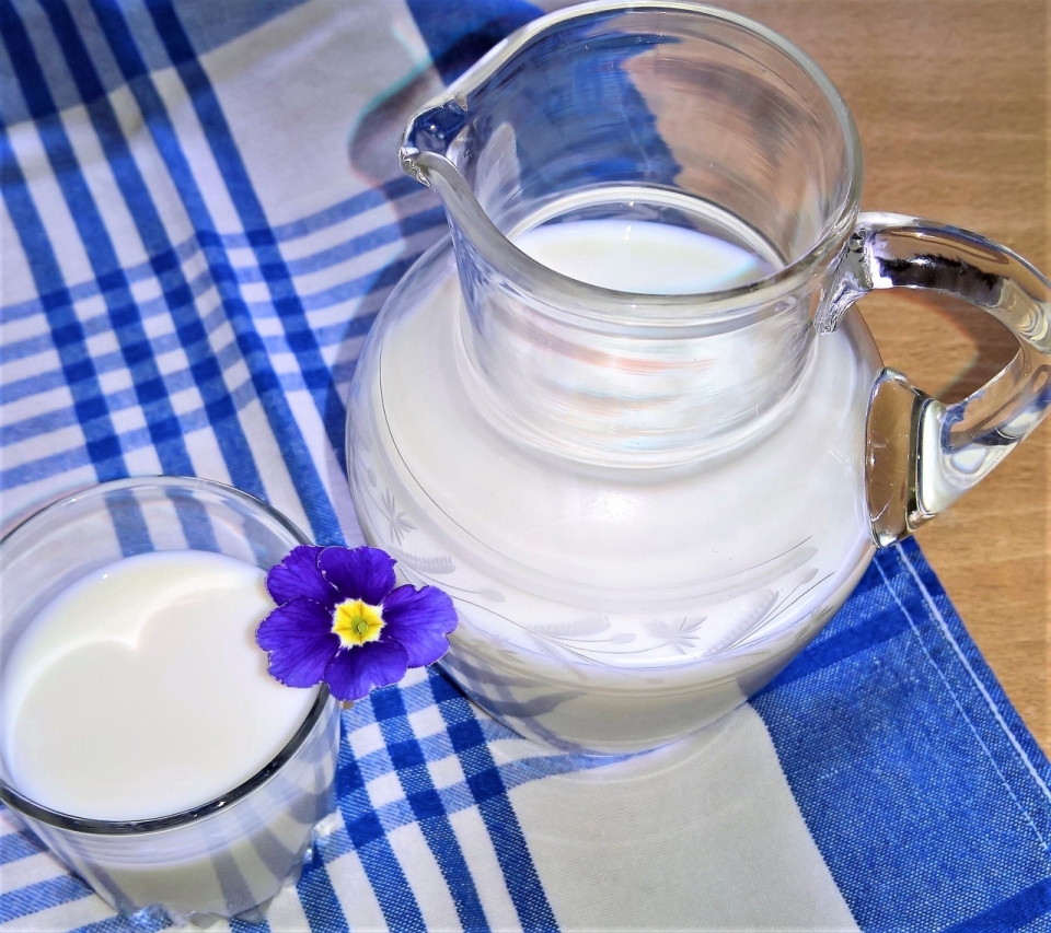 餐桌上透明壶中新鲜牛奶饮料特写