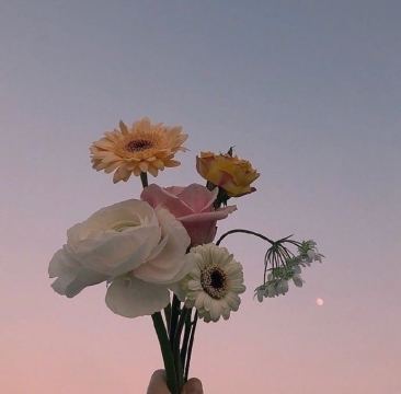 唯美清新鲜花写真图片