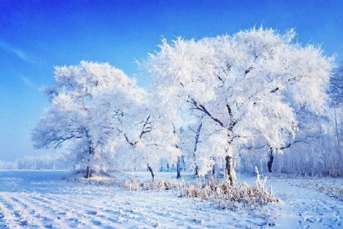 唯美雪景图片