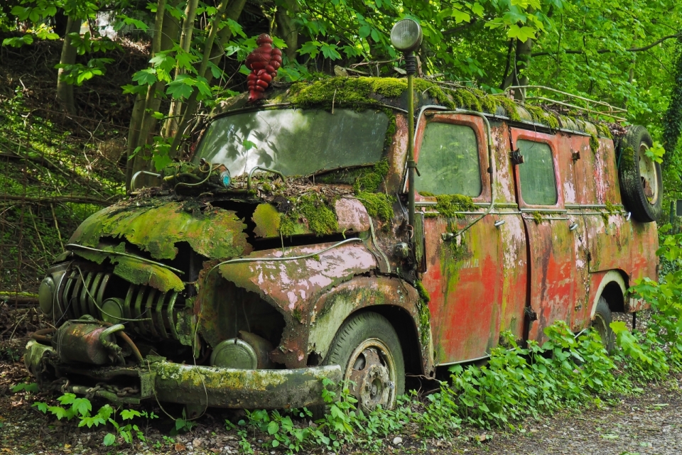 自然绿色森林废弃红色轿车