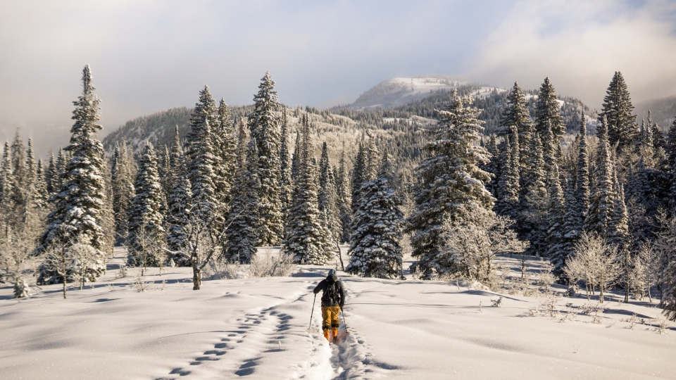 唯美冬季雪景自然风光高清桌面壁纸