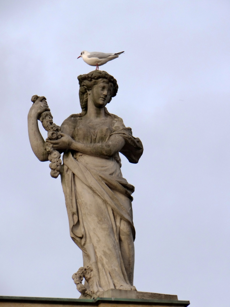 高大人物石雕上站立白色鸽子外景