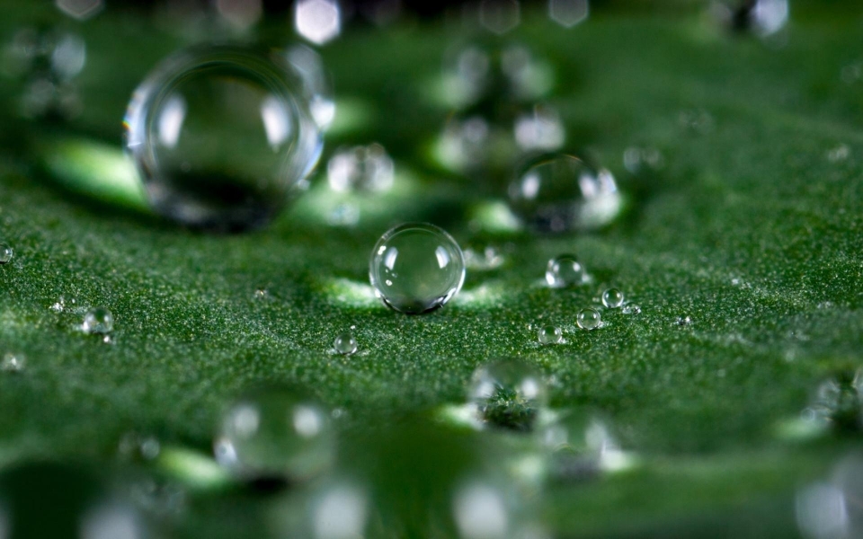 唯美清新护眼谷雨高清桌面壁纸