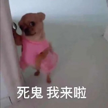 搞笑实用表情包图片