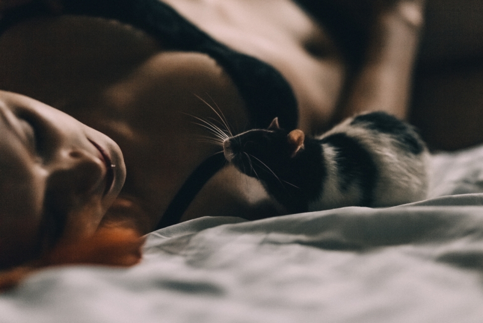 在床上看着睡觉美女的宠物鼠