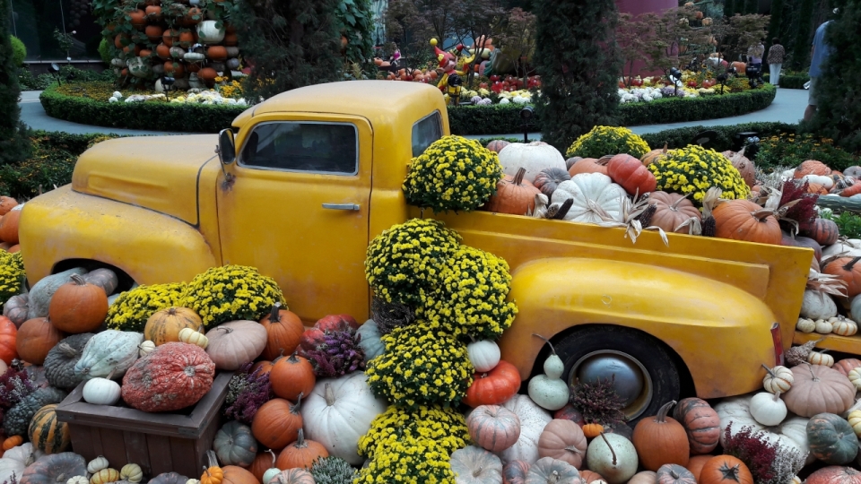 黄色汽车周围放满各种南瓜和油菜花