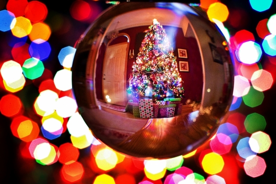 虚化彩色灯光背景水晶球中圣诞树