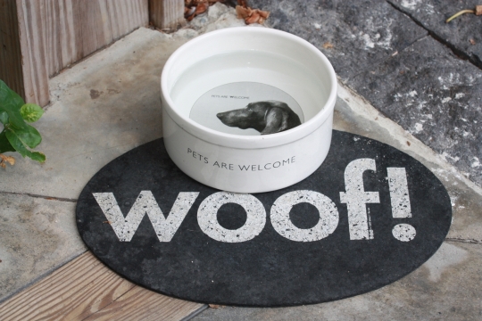 地面上有狗叫英文的毯子和狗盆静物摄影