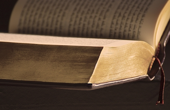 午后阳光木制桌面泛黄内页文艺书本