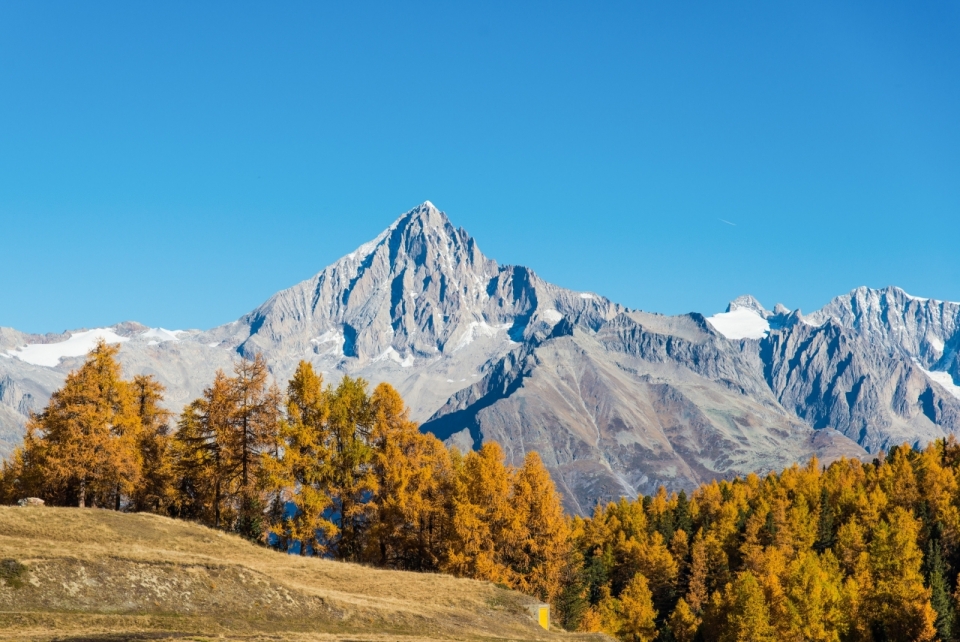 风景摄影_晴朗天空高山森林深秋美景