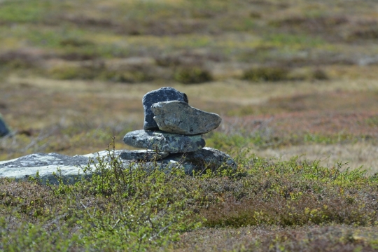 肥沃草地上散乱碎石堆积摆拍