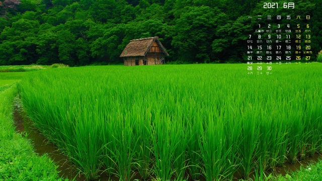 2021年6月绿色护眼水稻高清桌面壁纸