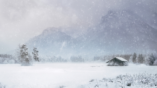 深冬飘落的雪花美景自然风光高清壁纸