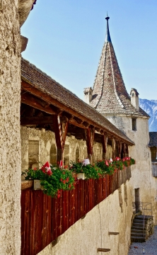 城堡建筑庭院外墙悬挂绿植花朵景观