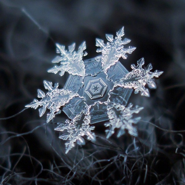 微镜头下的雪花图片