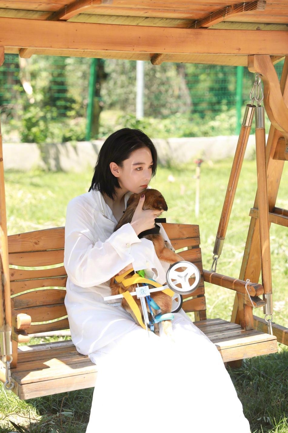 性感美女明星张馨予和狗优雅写真