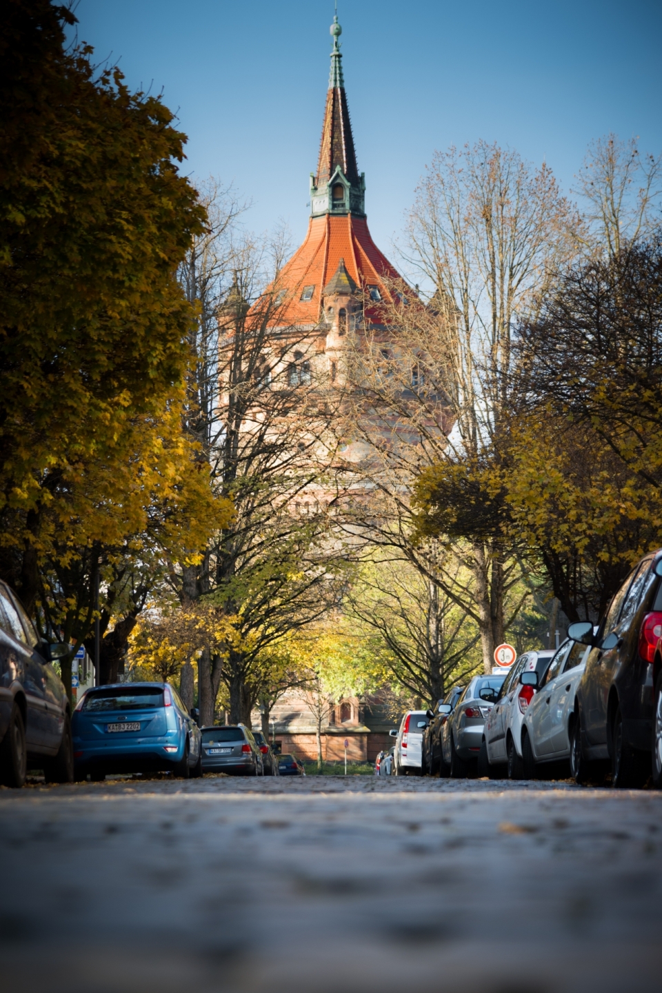 早晨城市街道树木马路前尖顶塔