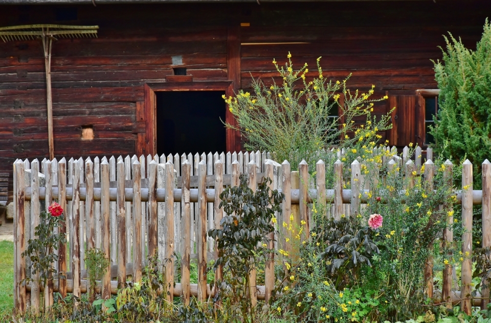 红色木头房子和门前绿色草地篱笆田园风格建筑
