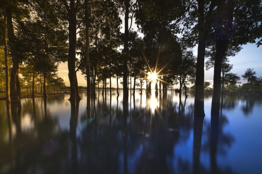 傍晚阳光自然树木水面倒影风光