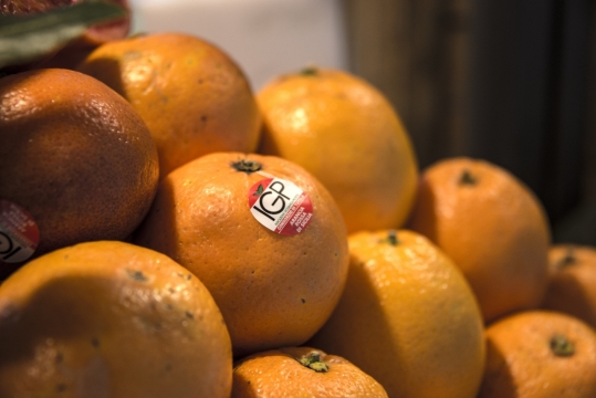 虚化背景室内新鲜美味健康橙子水果