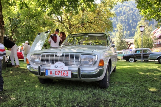 树荫覆盖草地停泊银白色汽车外观