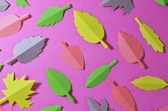 纯色背景各种颜色卡纸剪成不同的树叶形状